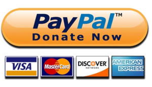 Paypal-Donate-Button-300x172-1